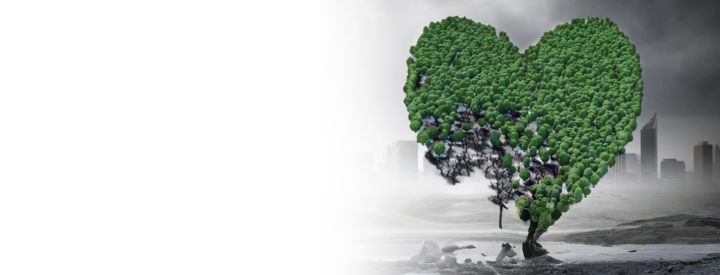 Pollution and Heart Health: How Poor Air Quality Impacts Your Heart